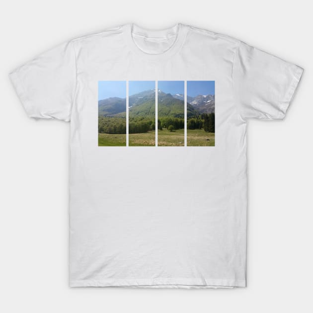 A static shot from the surroundings of Castaldia di Piancavallo with alps in background and a little mist. Beautiful nature in a spring sunny day; no people around T-Shirt by fabbroni-art